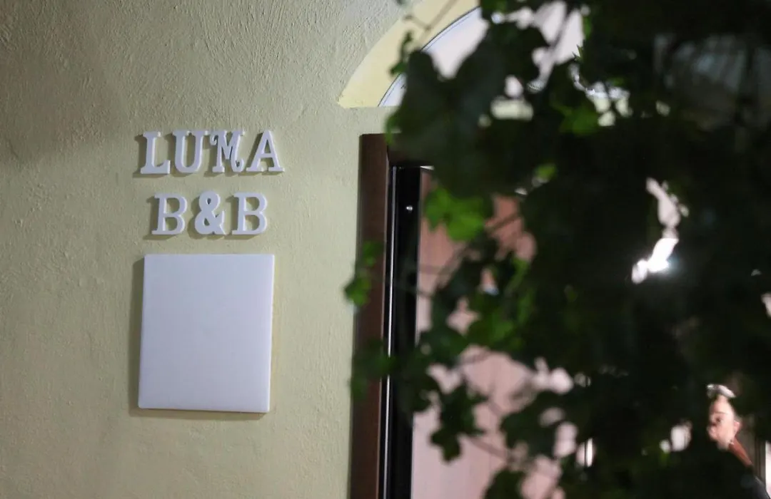 Luma-1